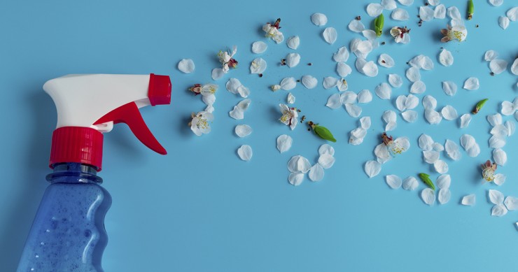 pulizie di primavera