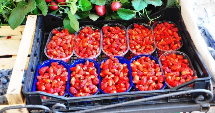 Festival de la fraise de Nemi