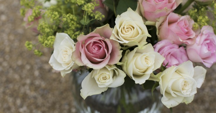 quanto dura una rosa