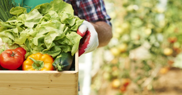 Primo piano cassetta con verdure agricoltura 