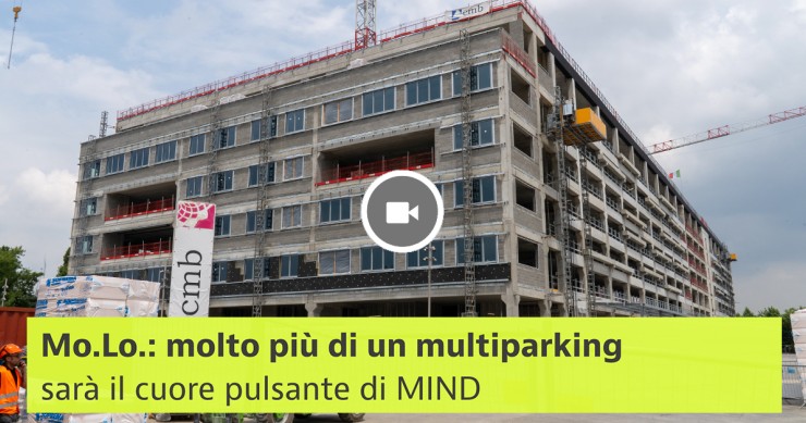 MoLo