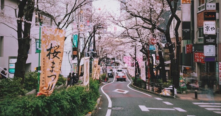 perché in giappone non ci sono i cestini