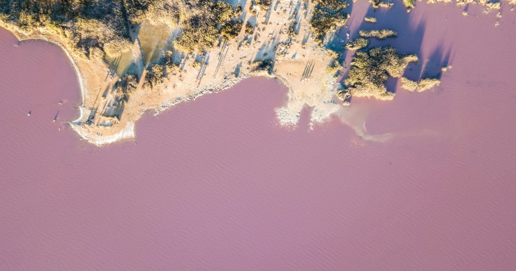 laguna rosa torrevieja