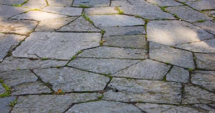 Per prevenire la formazione di muschi e licheni, è opportuna una regolare manutenzione delle pavimentazioni esterne