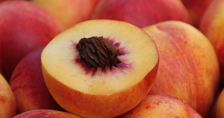 nocciolo della pesca