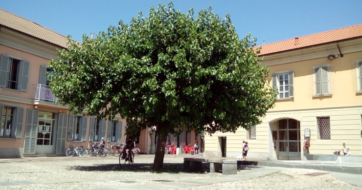 vivere a cernusco sul naviglio
