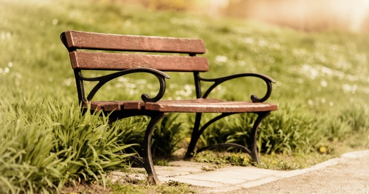 panchina in legno nel giardino