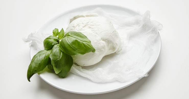festa della mozzarella gioia del colle 