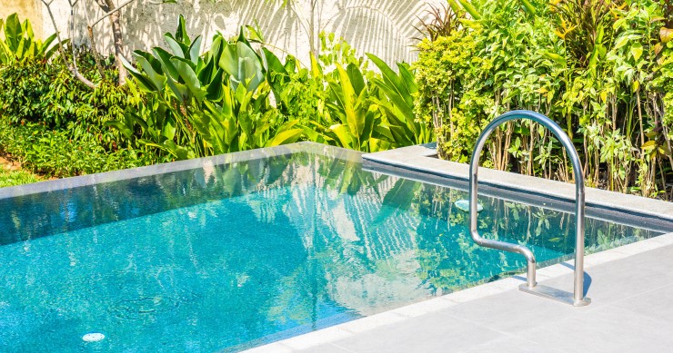 piante bordo piscina