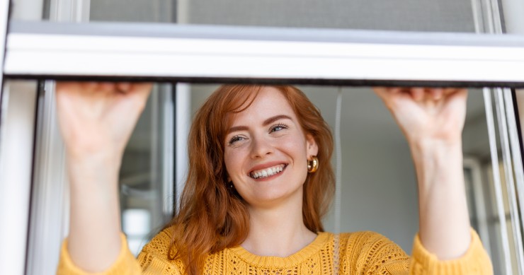 come pulire le zanzariere