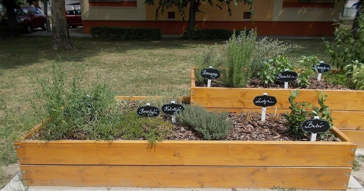 Un'aiuola rialzata con erbe aromatiche