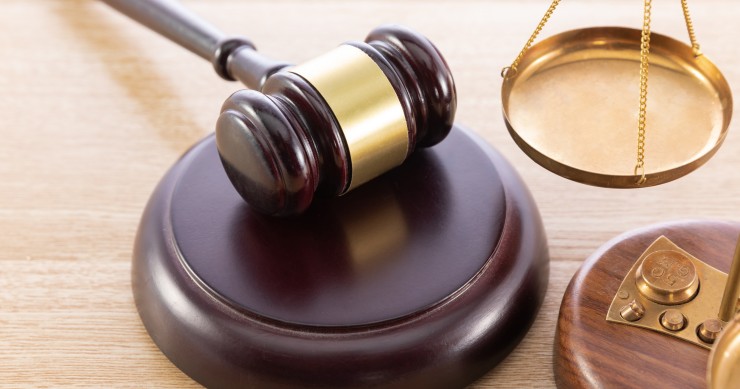 articolo 634 bis codice penale