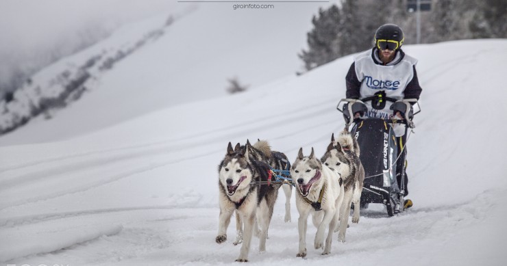Les balades en traîneau à chiens en Italie