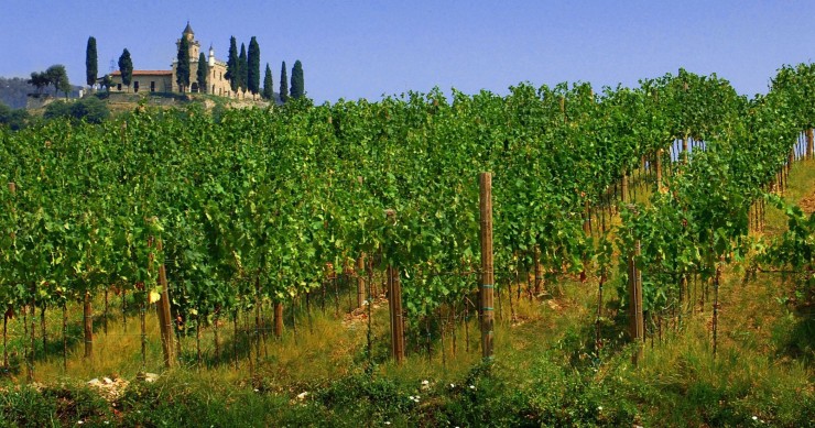 strada del vino franciacorta