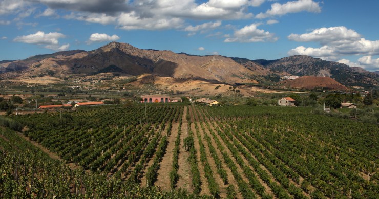 strada del vino dell'etna