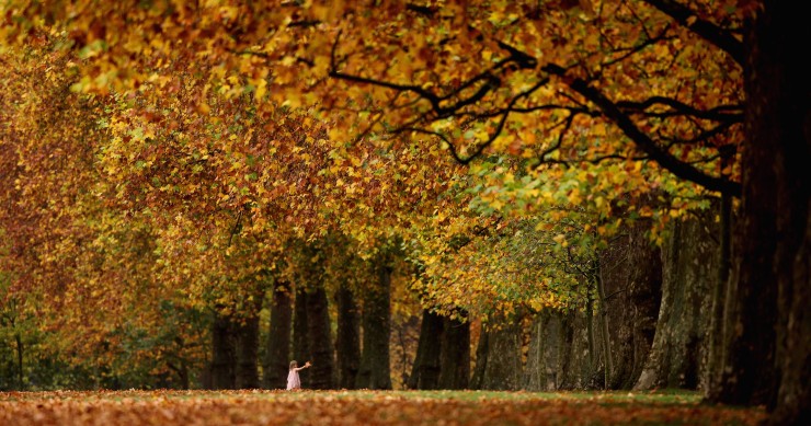 dove vedere il foliage in Piemonte