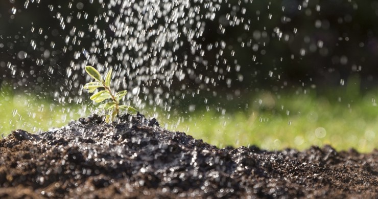 irrigazione piante