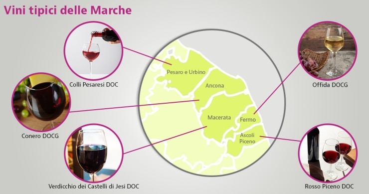 vini tipici marchigiani