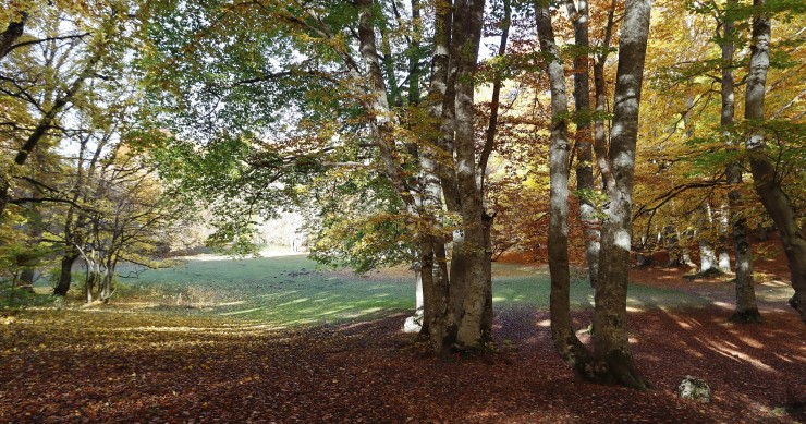 dove vedere il foliage in abruzzo