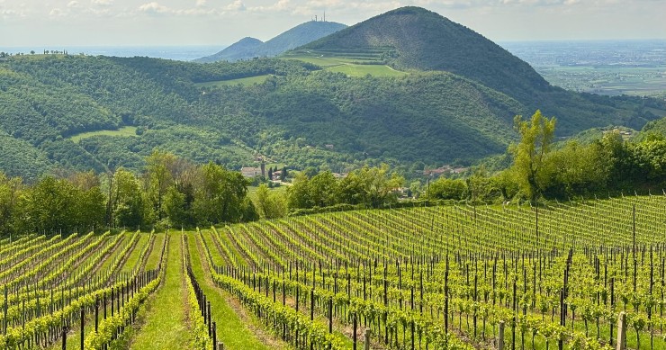 cosa vedere ai colli euganei