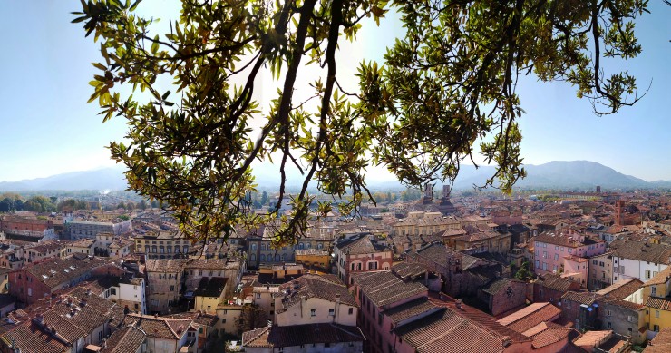 Things to do in Lucca