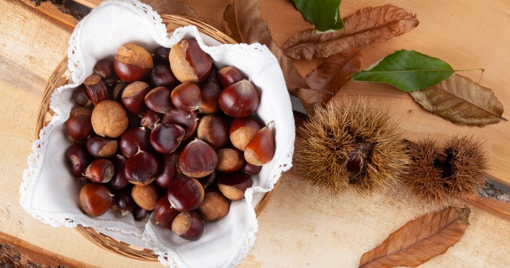 sagre delle castagne 2025