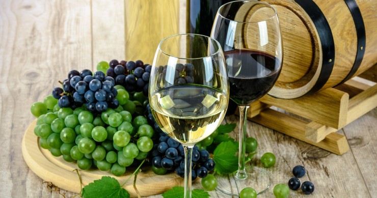 bacco nelle gnostre 2025