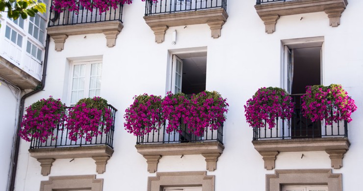 Affaccio su cortile e strada
