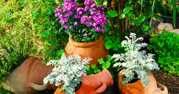 vaso terracotta fiori
