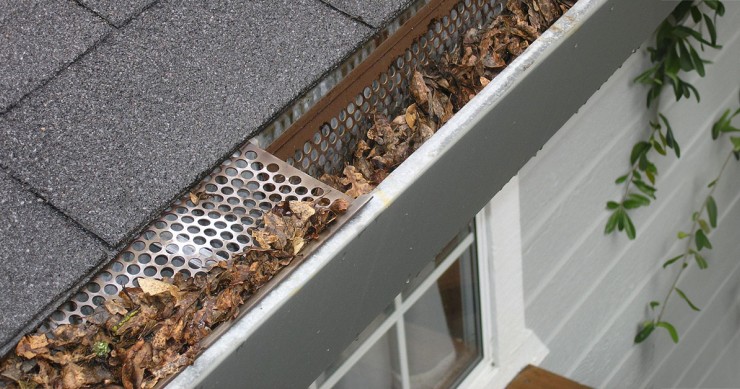 Foglie del vicino nella grondaia