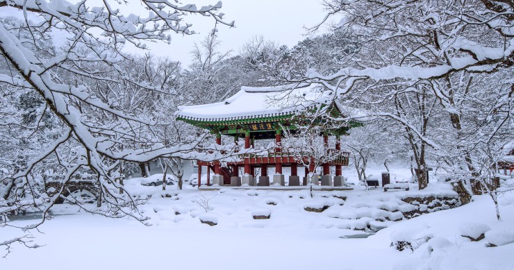 paesi dove non si festeggia il natale 