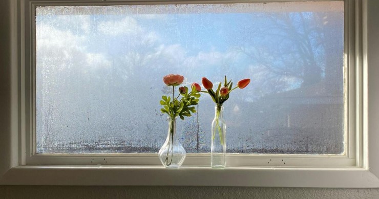 condensa sul vetro di una finestra