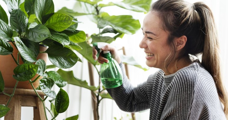 donna sorridente che tratta le sue piante con soluzione di sapone