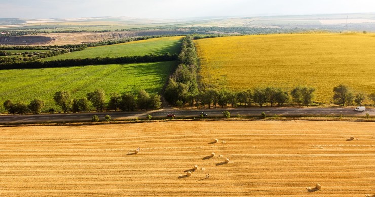 Terreni agricoli confinanti