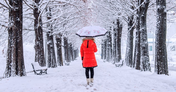 scuole chiuse 7 gennaio 2026