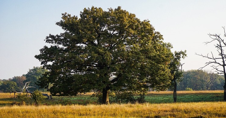 riserva naturale delle baragge