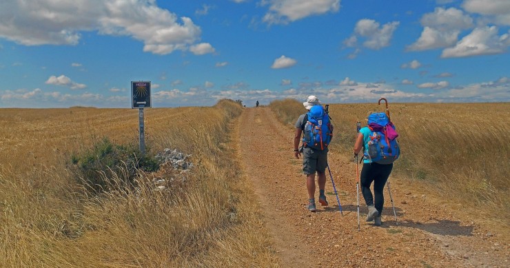 buen camino checco zalone