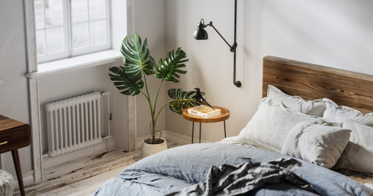 piante che possono stare vicino al termosifone