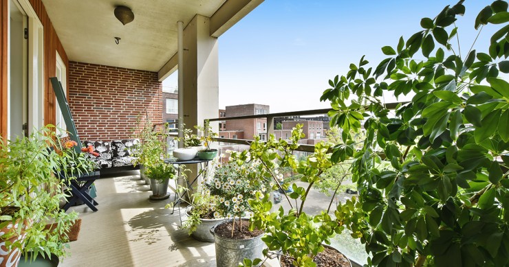 piante da esterno primaverili