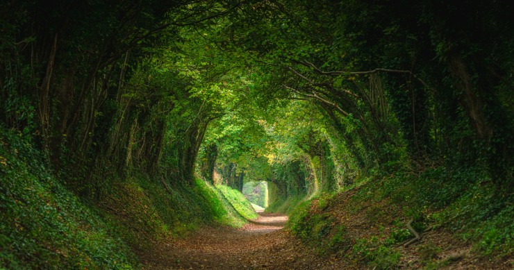 strada delle fiabe