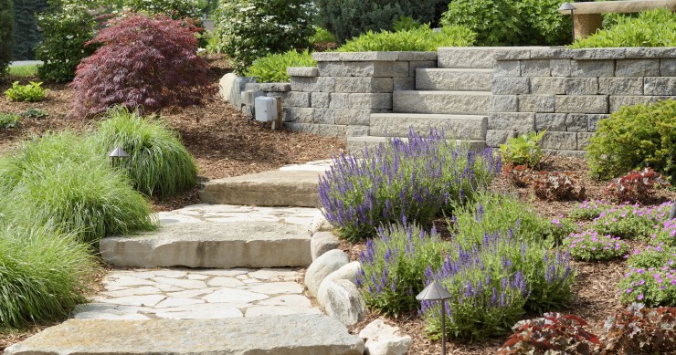 come realizzare un giardino roccioso