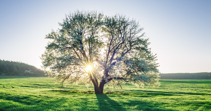 quando inizia la primavera nel 2026