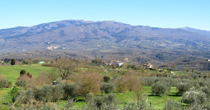 Pratomagno