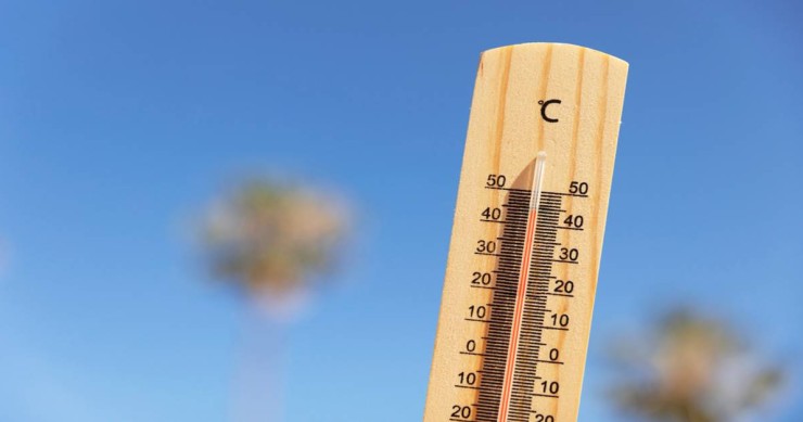 Caldo