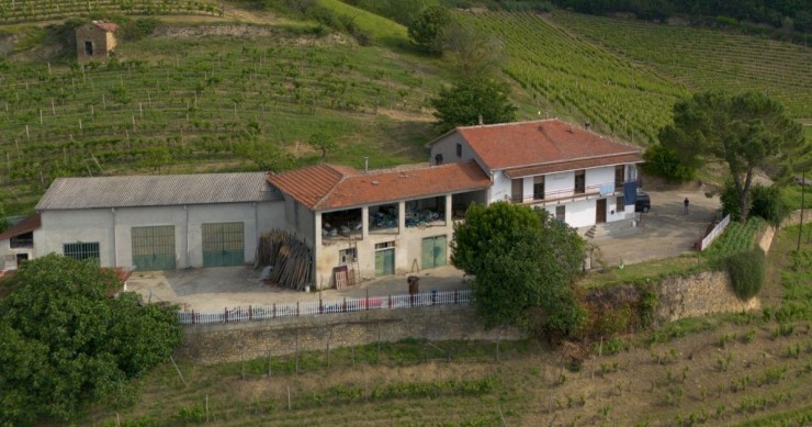 Urgent properties for sale