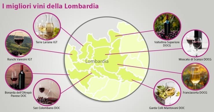 migliori vini lombardi