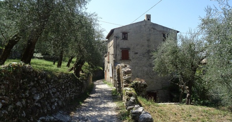 campo
