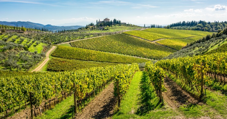 chianti