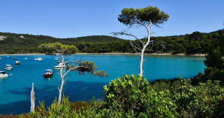 Porquerolles 