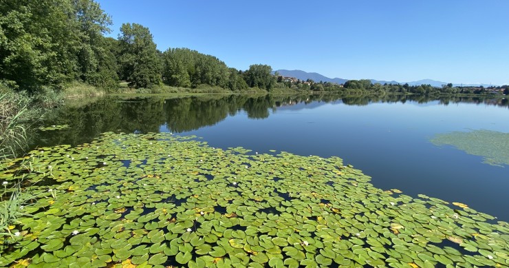 Lago di Monate
